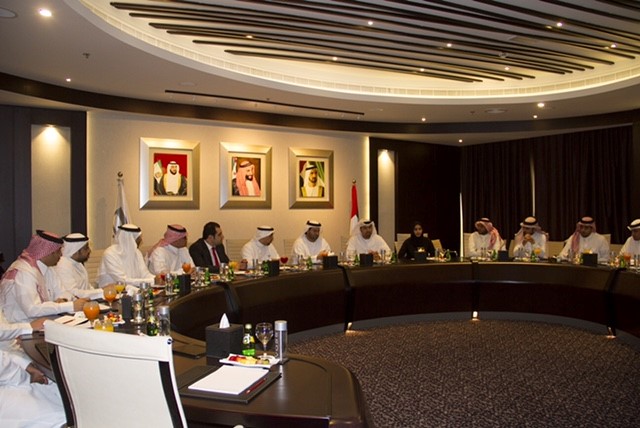 Saudi delegation during meeting with DSC representatives