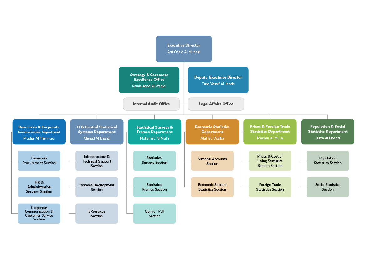 DSC Structure (Organization Chart)